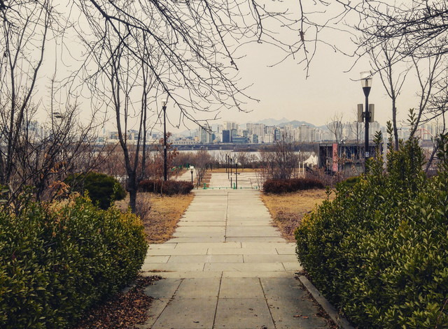 Best 4 Things To See At Yeouido Hangang Park Seoul