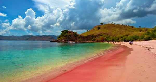 السياحة في لومبوك Pink-Beach-Lombok-18-1