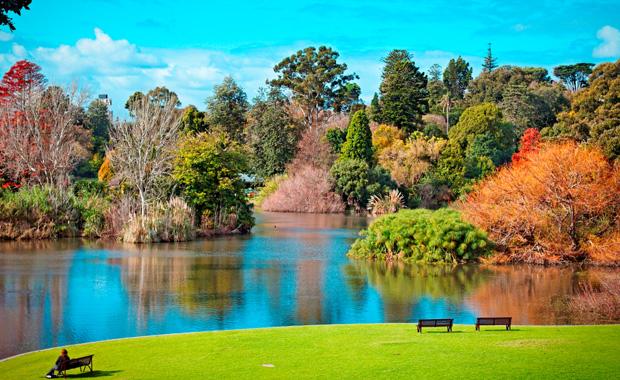 Best 6 things in Royal Botanic Gardens Victoria Melbourne