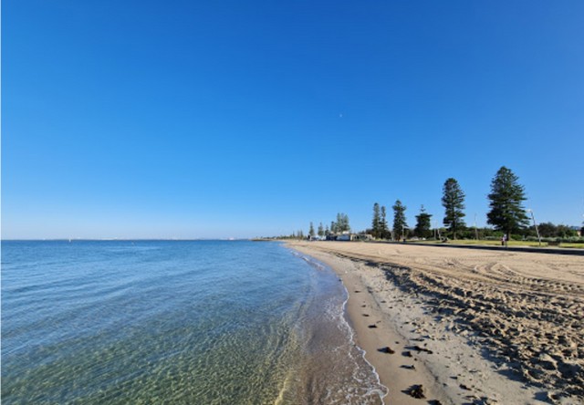 Top 3 things to do in Elwood Beach Melbourne