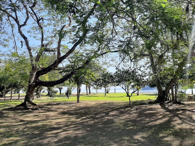 Best 3 things in Darke de Mattos Park Rio de Janeiro