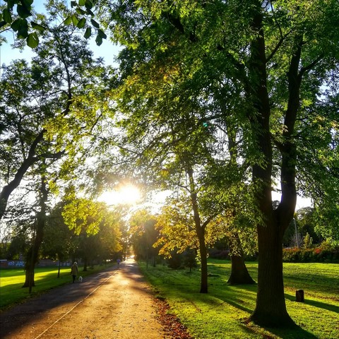 Top things to do at Inverleith Park Edinburgh