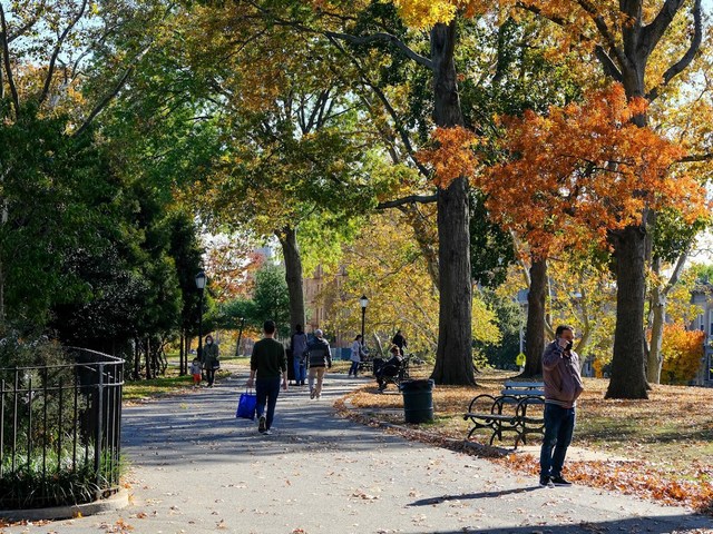 Best 3 Things to Do at Sunset Park New York