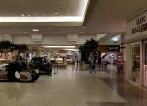 Best 6 Things to Do in Lake Square Mall Orlando