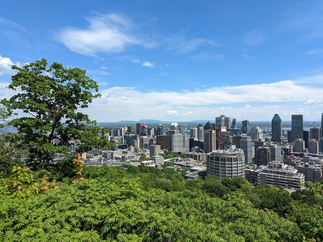 Best 3 things to see at Mount Royal Park Montreal