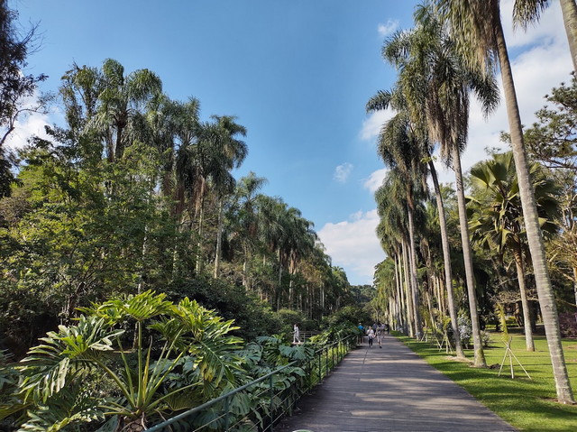 Best 11 things to do in Sao Paulo Botanical Garden