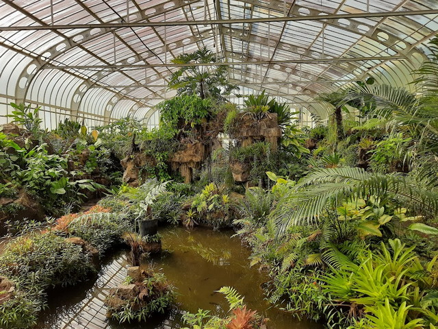 Best 11 things to do in Sao Paulo Botanical Garden