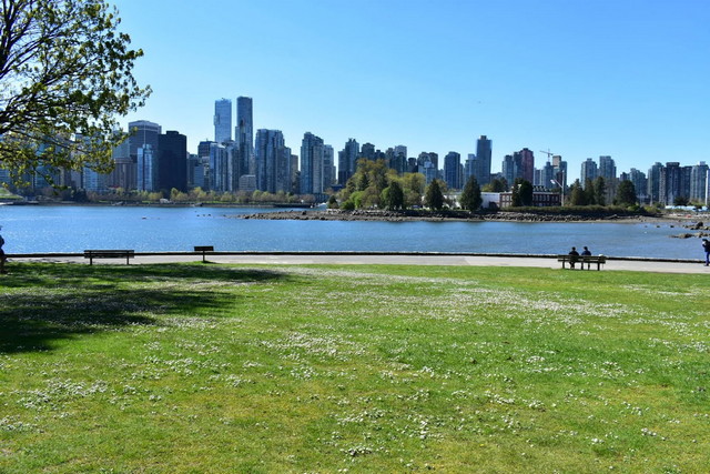 Top 5 Things To Do At Stanley Park Vancouver