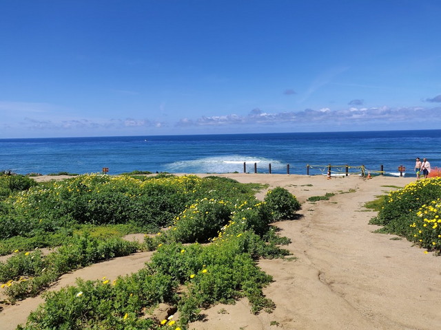 Best 3 Things at Sunset Cliffs Natural Park San Diego