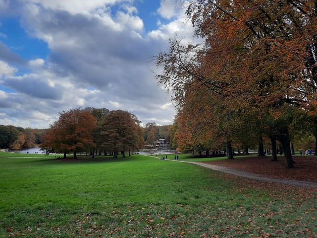 Top 3 Things at Bois de la Cambre Park Brussels