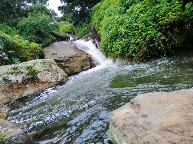 Best 4 Things at Kolapathana Waterfall Nuwara Eliya