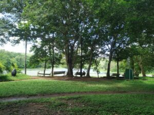 Top 4 Things To Do At Poomala Dam Park Kerala