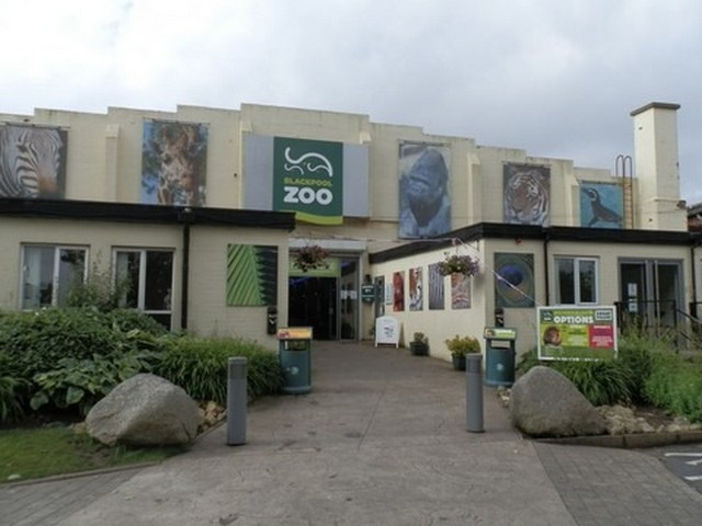 blackpool-zoo-blackpool