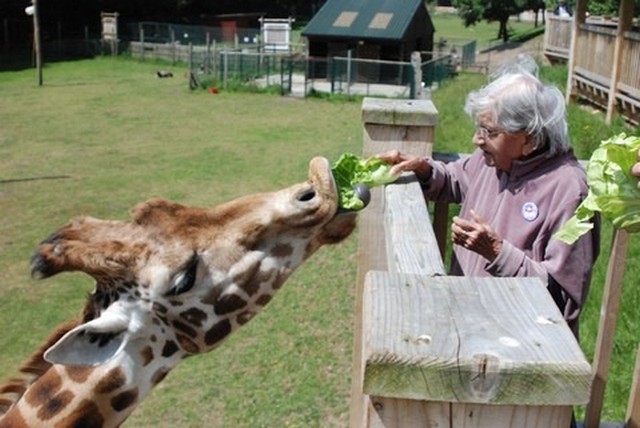 Best 6 Things to See in Blackpool Zoo - urtrips