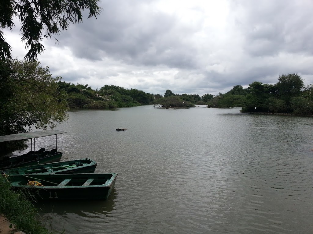 Madiwala Lake Bangalore