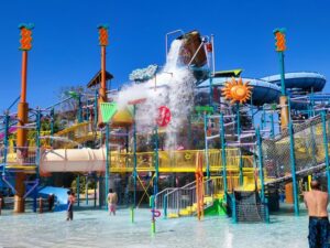 Best 4 fun things to do in Aquatica Orlando