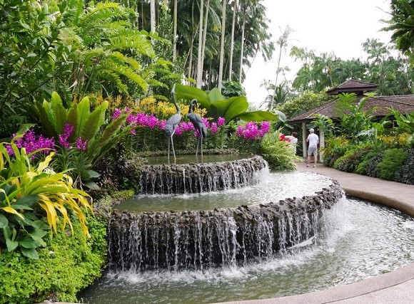 Best 13 things to do in Singapore Botanic Gardens - رحلاتك