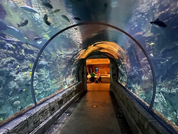 Shark Reef Aquarium with kids. Mandalay Bay, Las Vegas - Places to