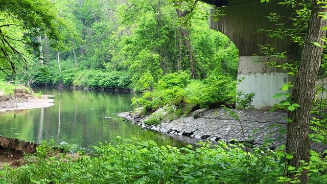 Best 4 Things To Do At Pennypack Park Philadelphia