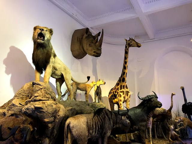 Best 3 Things to Do in Antipa Museum Bucharest