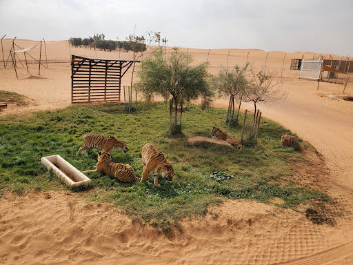 riyadh safari park location