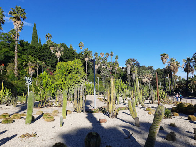 Top Things in Jardins de Mossen Costa i Llobera Barcelona