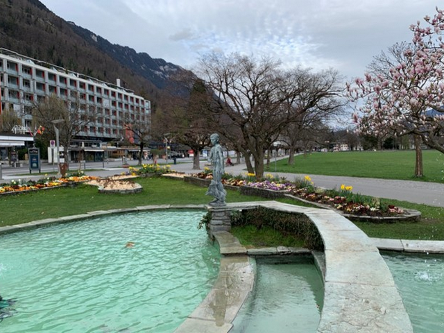 Top 5 Things to See at Hohematte Park Interlaken - urtrips