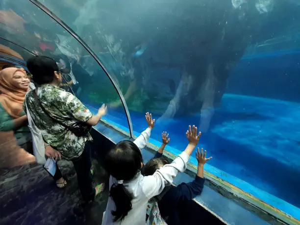 Best 11 Things To Do In Underwater World Langkawi