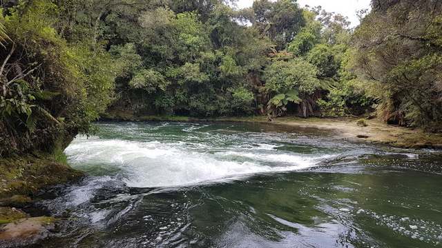 The 7 Best Waterfalls in Tauranga to Visit