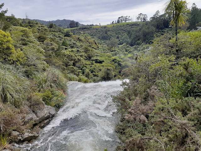 Best 4 Activities To Do At Owharoa Falls Tauranga