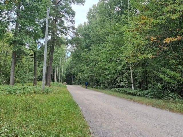 haltiala nature trail is at the heart of helsinki central park