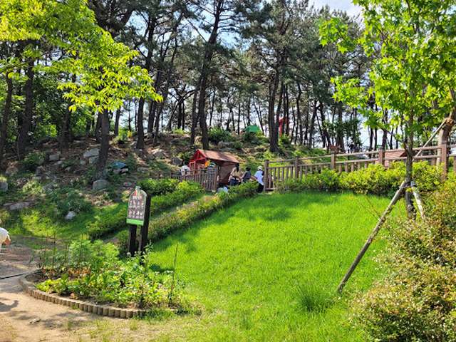 The 9 Best Parks in Busan