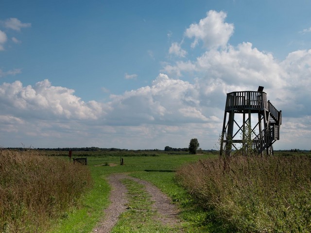 Best 8 Things to Do in Schildmeer Lake Groningen