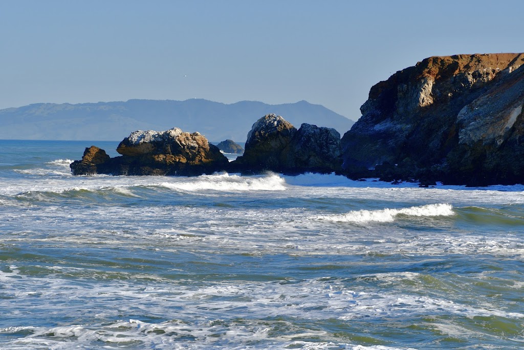 Top 5 Things in Gray Whale Cove State Beach San Francisco