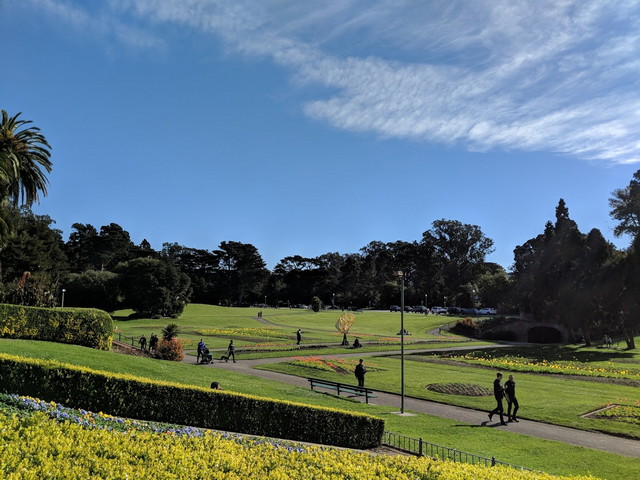 Best 8 Things At Golden Gate Park San Francisco   G1 