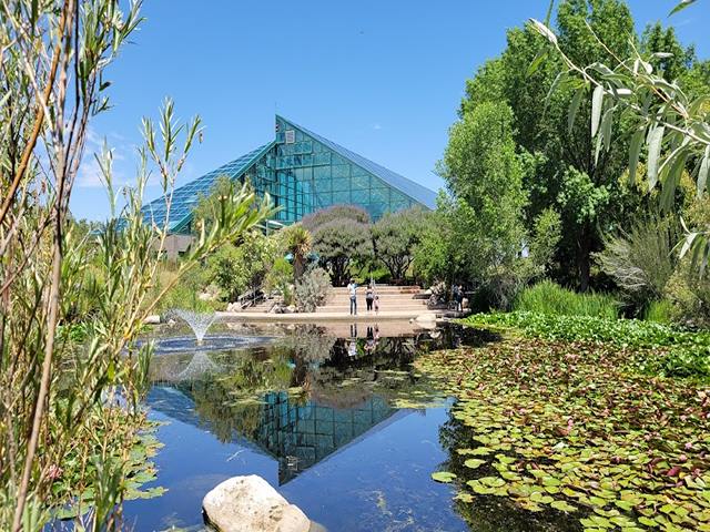 Top 4 Things in ABQ BioPark Botanic Garden Albuquerque