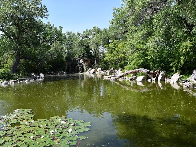 Top 4 Things in ABQ BioPark Botanic Garden Albuquerque