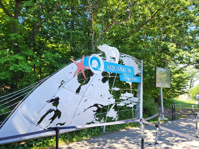 Top 3 things to do in the Aquarium of Quebec City