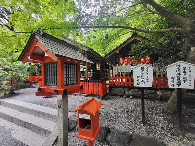 Top 3 Things To Do At Arashiyama Bamboo Grove Park Kyoto