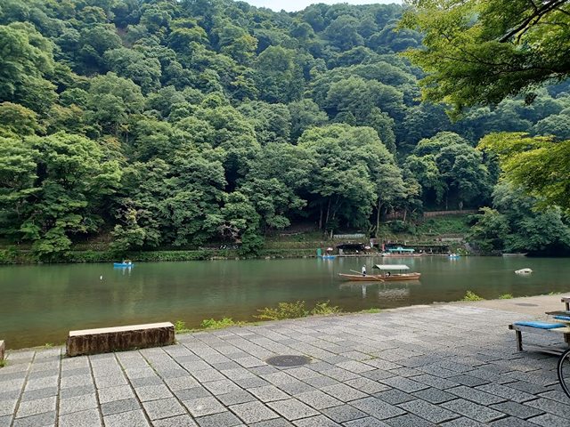 Top 3 Things To Do At Arashiyama Bamboo Grove Park Kyoto