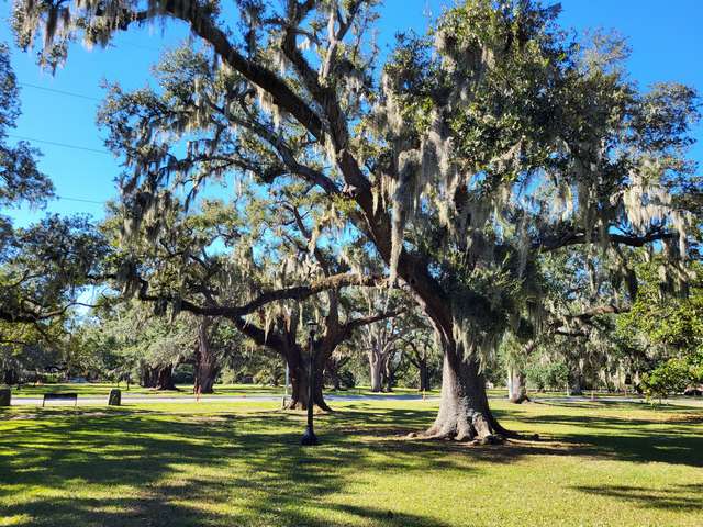 Top 3 things at Audubon Park New Orleans