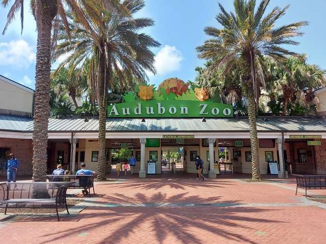 Best 3 Things In Audubon Zoo New Orleans