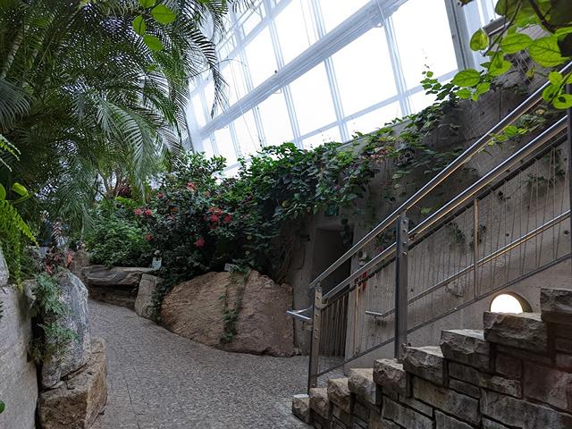 Top 5 things to do at Butterfly Conservatory Niagara Falls