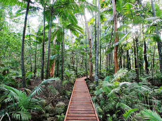 The 9 Best Attractions in Cairns