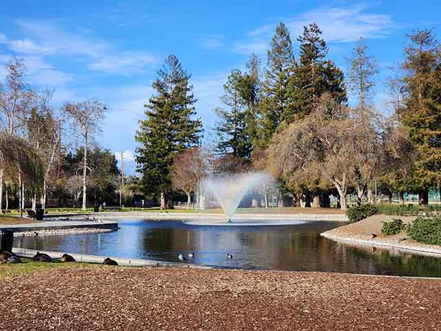 Best 3 Things to Do at Central Park San Jose