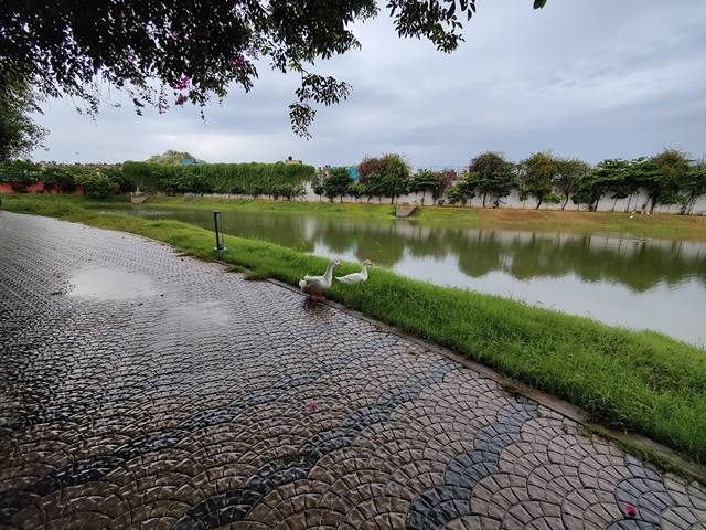 Best 3 things to do at Chetpet Eco Park Chennai