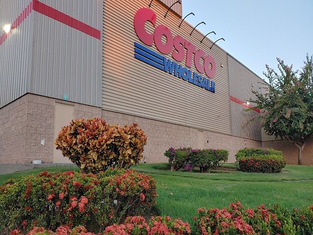 Best 4 Things To Do In Costco Market Puerto Vallarta