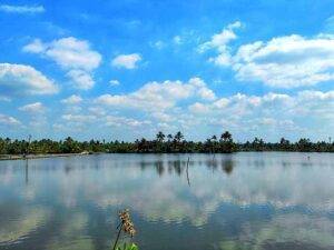 Top 3 Things in Kadamakkudy Islands View Point Kochi