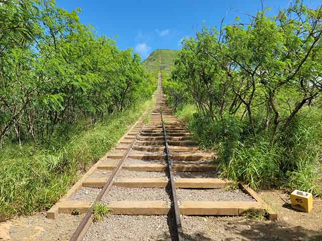 Best 4 Things to Do in Koko Crater Botanical Garden Honolulu