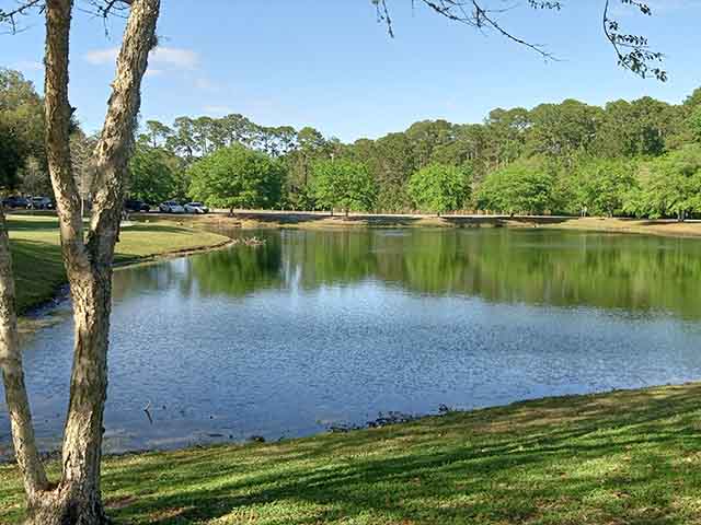 The 10 Best Parks in Jacksonville